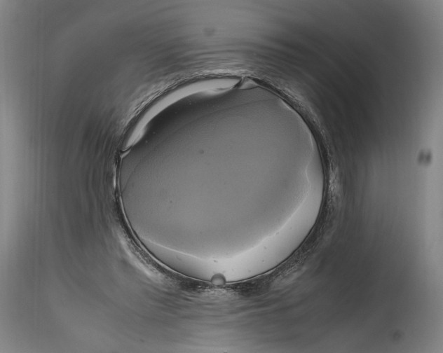 X0000114700397200911121544