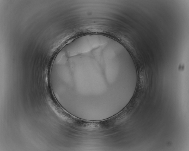 X0000114700398200911121544