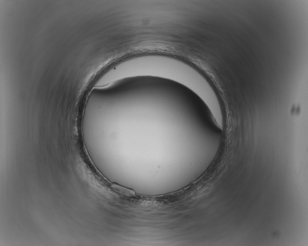 X0000114700399200911121544