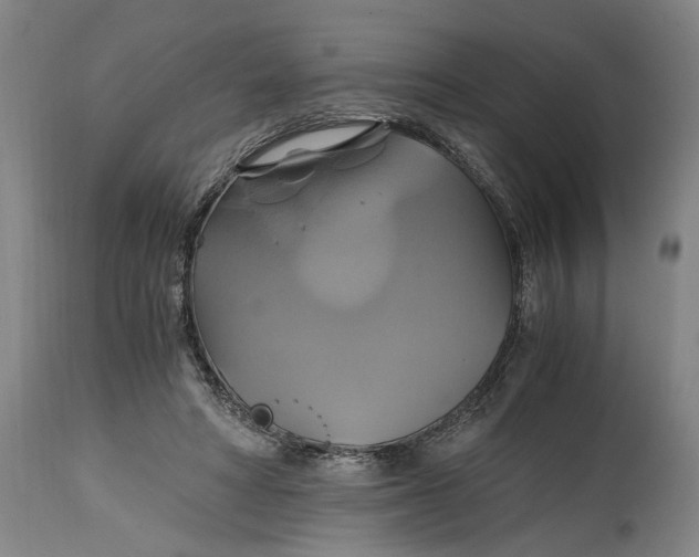 X0000114700402200911121544