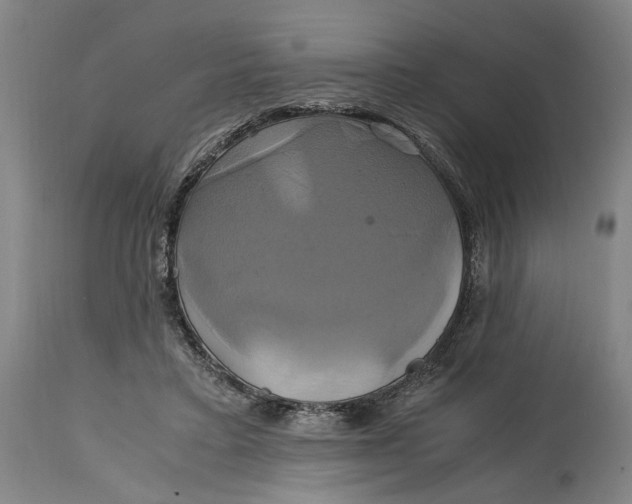 X0000114700403200911121544