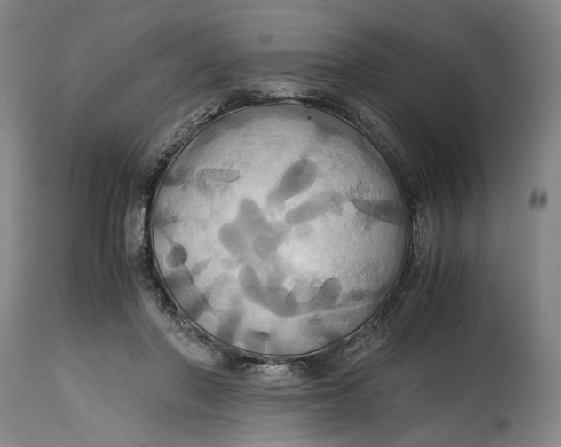 X0000114700406200911121544