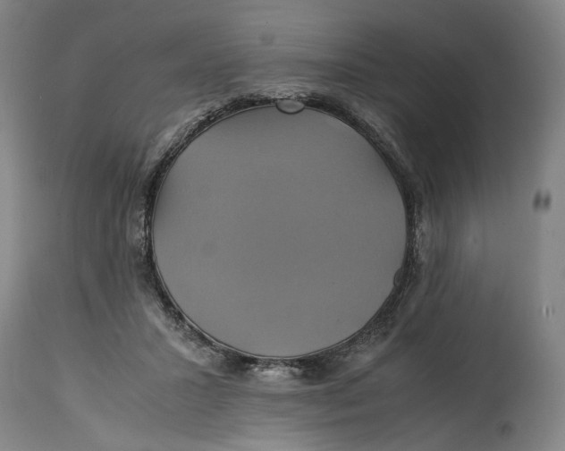 X0000114700407200911121544