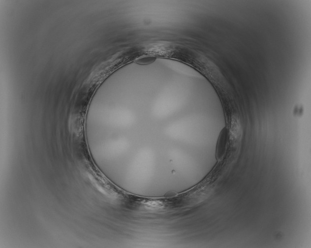 X0000114700409200911121544