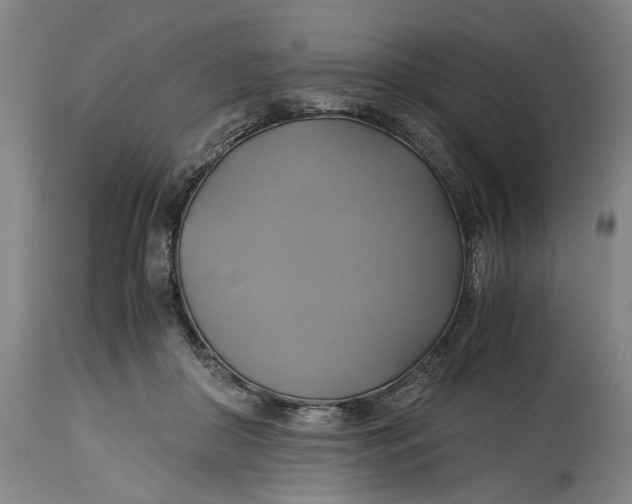 X0000114700410200911121544