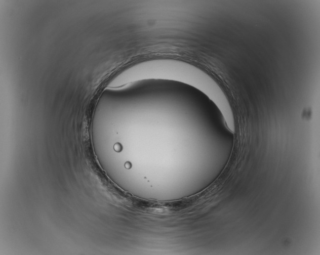 X0000114700411200911121544