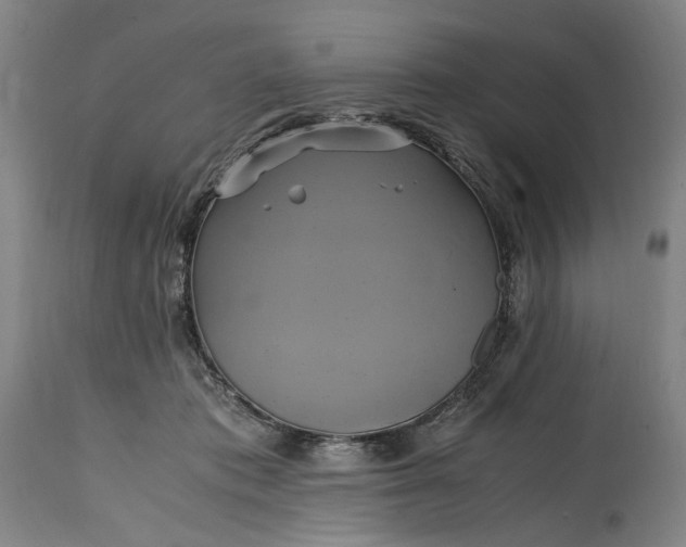 X0000114700413200911121544