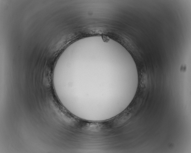 X0000114700414200911121544