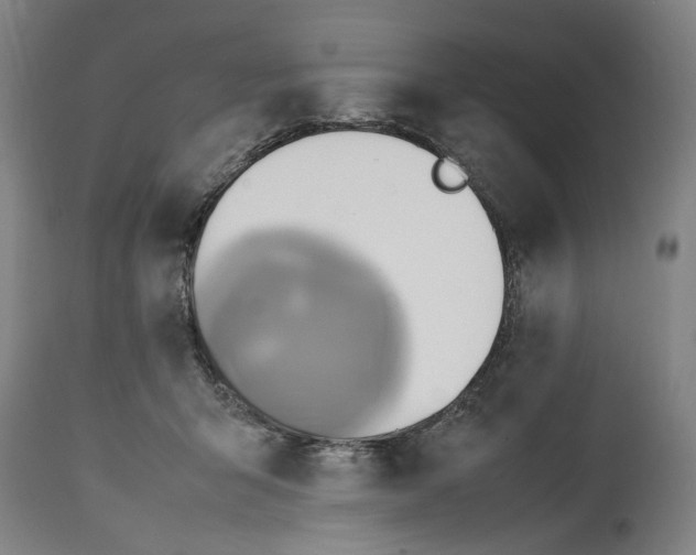 X0000114700415200911121544