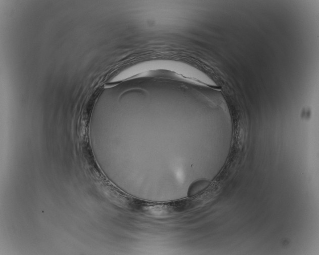 X0000114700417200911121544