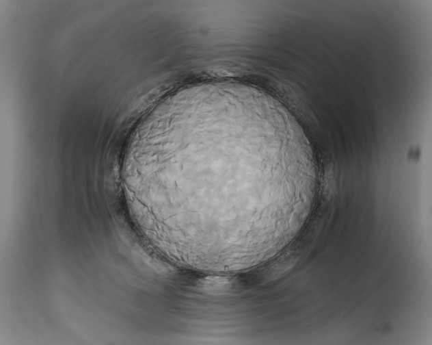 X0000114700418200911121544