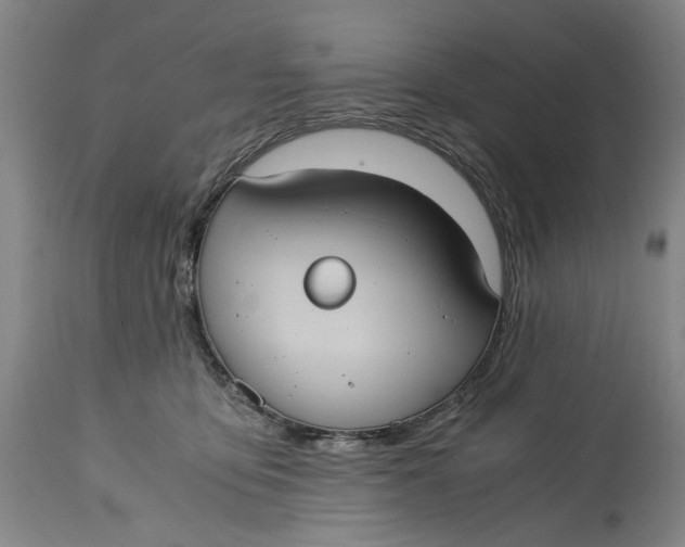 X0000114700419200911121544