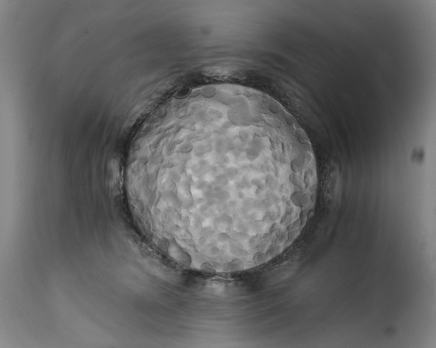 X0000114700420200911121544