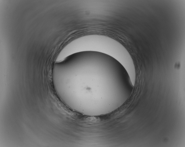 X0000114700421200911121544