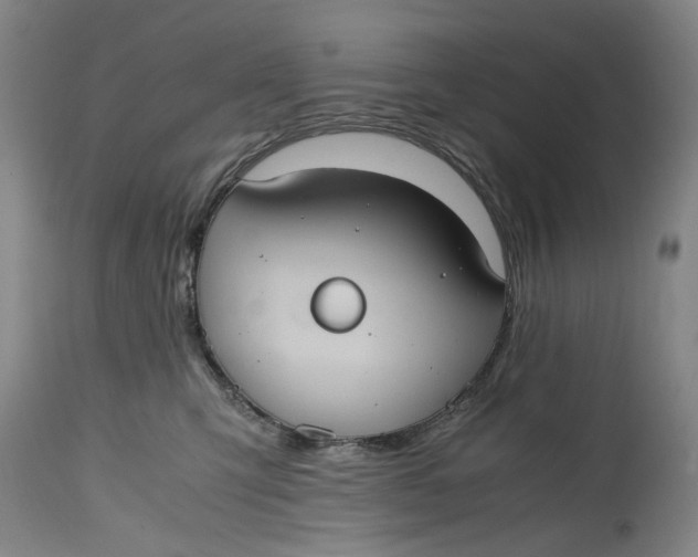 X0000114700423200911121544