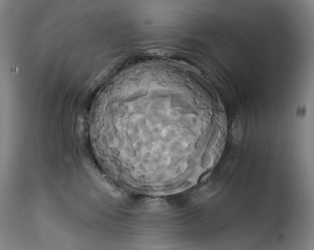 X0000114700424200911121544