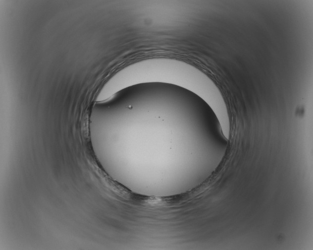 X0000114700425200911121544