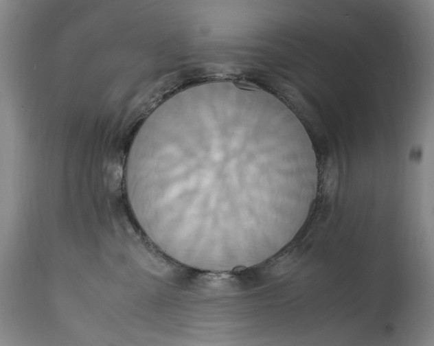 X0000114700427200911121544