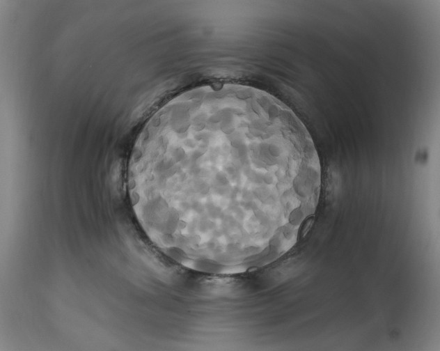 X0000114700428200911121544