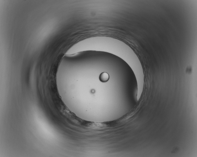 X0000114700429200911121544