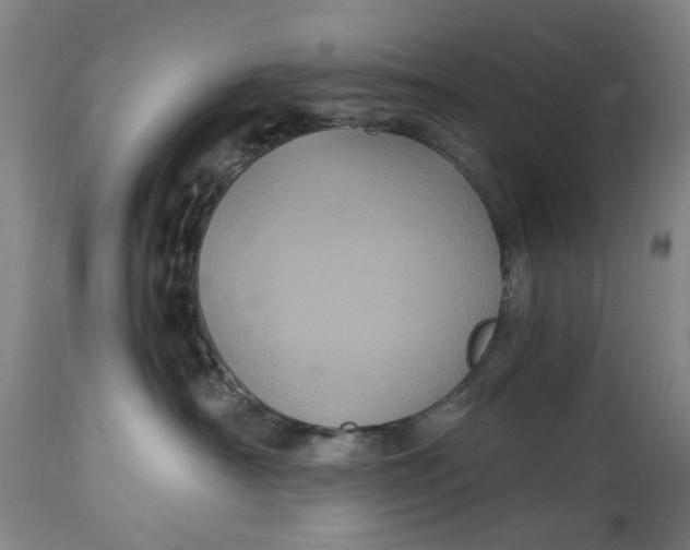 X0000114700430200911121544