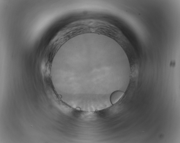 X0000114700431200911121544