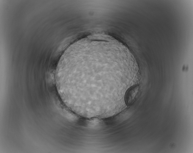 X0000114700432200911121544