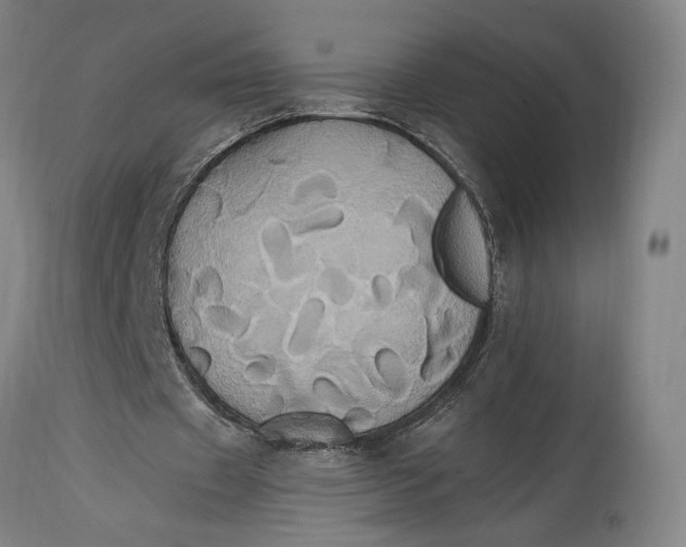 X0000114700433200911121543