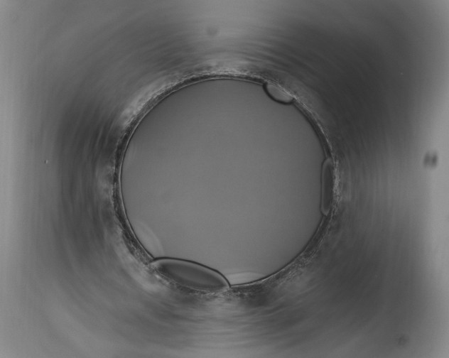 X0000114700434200911121543