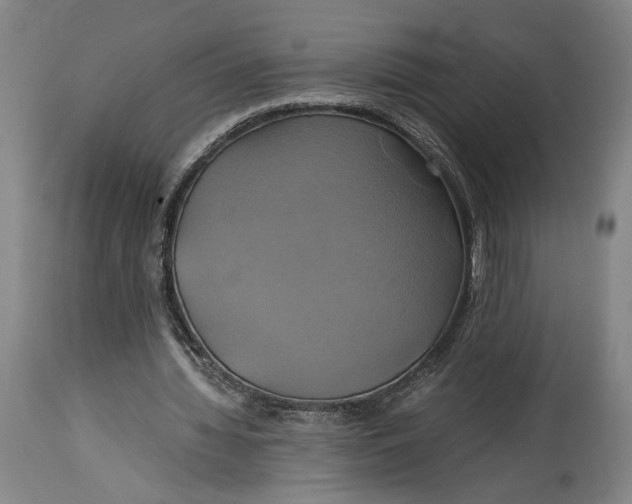 X0000114700436200911121543