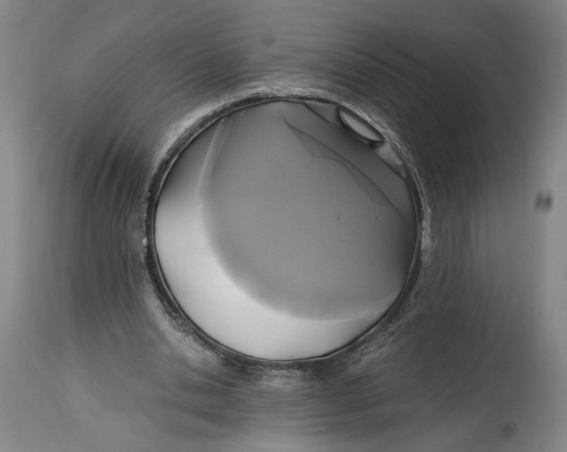 X0000114700438200911121543