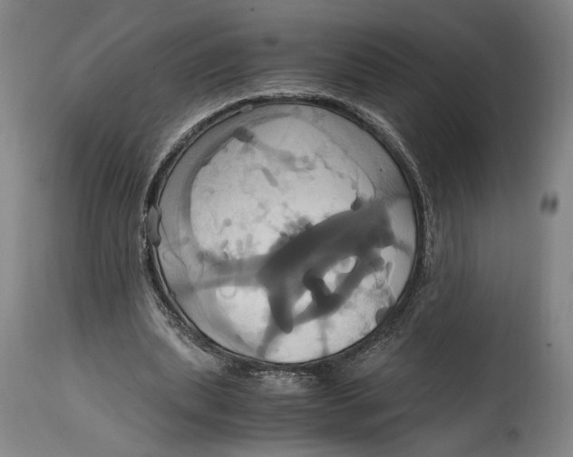 X0000114700439200911121543