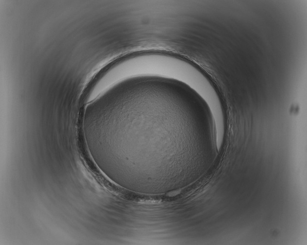 X0000114700440200911121543