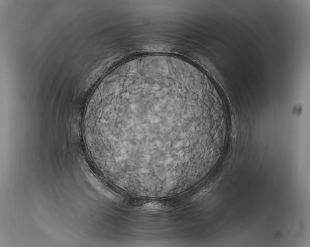 X0000114700441200911121543