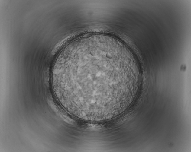 X0000114700442200911121543