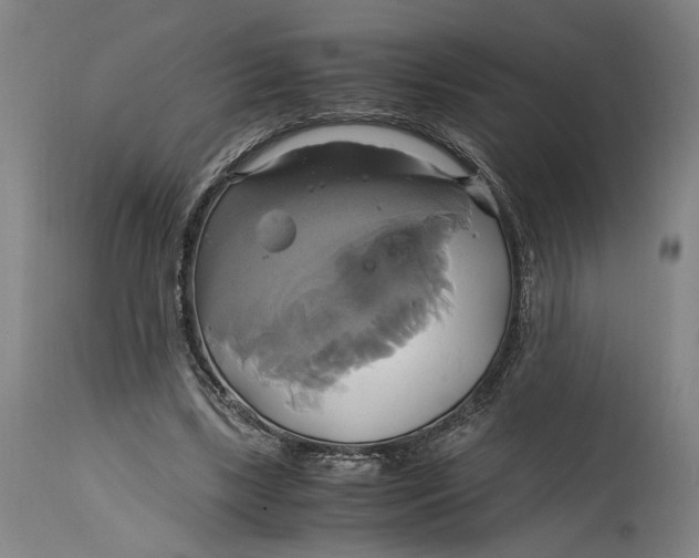 X0000114700443200911121543