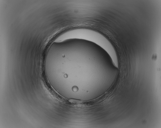 X0000114700444200911121543