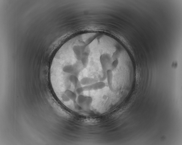 X0000114700445200911121543