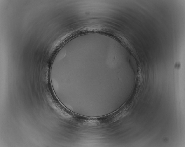 X0000114700446200911121543