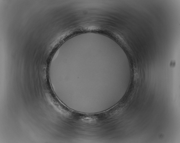 X0000114700447200911121544