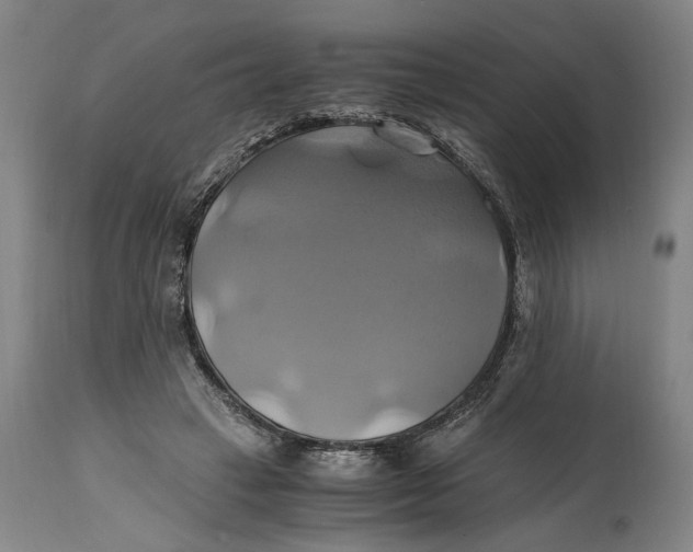 X0000114700449200911121544