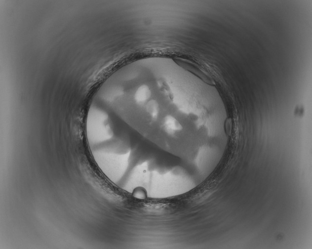 X0000114700450200911121544