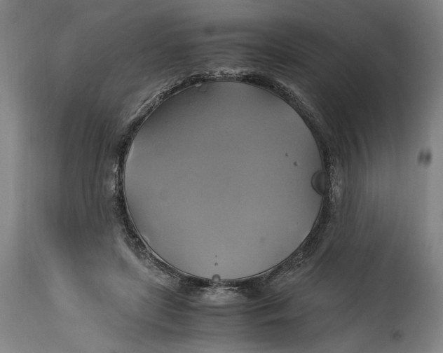 X0000114700451200911121544