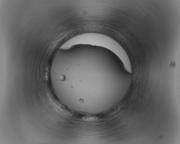 X0000114700452200911121544