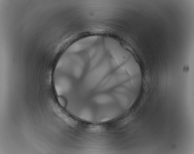 X0000114700454200911121544