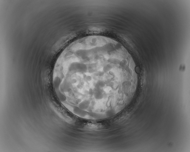 X0000114700455200911121544