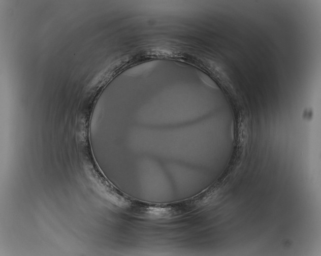 X0000114700457200911121544