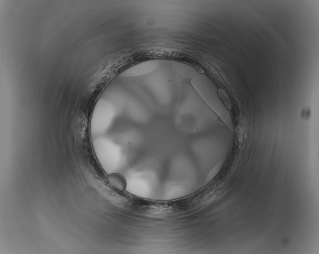 X0000114700458200911121544