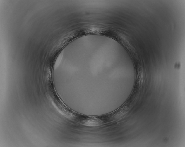 X0000114700459200911121544