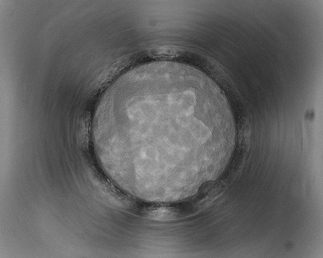 X0000114700460200911121544